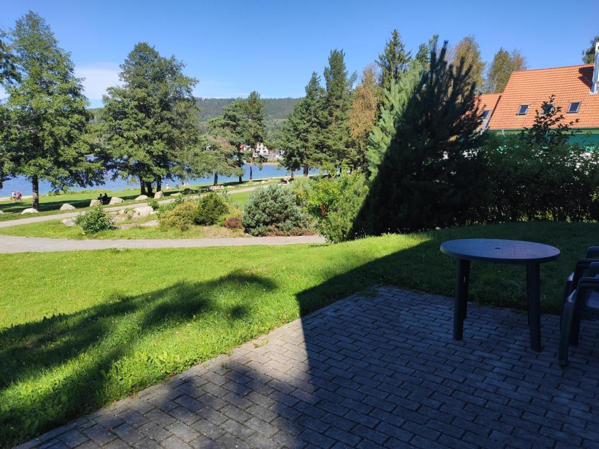Апартаменты Lipno Riviera - Mysi V Bote Липно-над-Влтавой Экстерьер фото